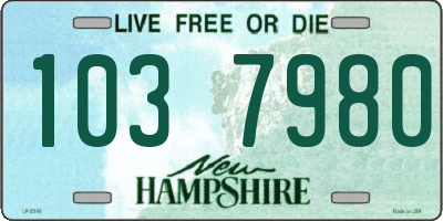 NH license plate 1037980