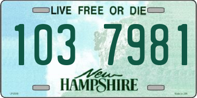 NH license plate 1037981