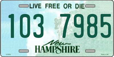 NH license plate 1037985