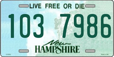 NH license plate 1037986