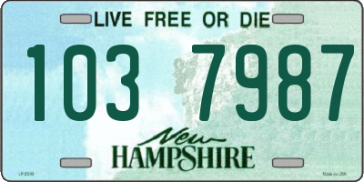 NH license plate 1037987