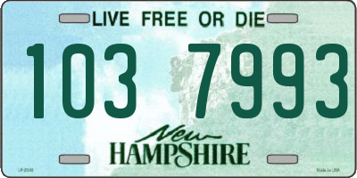 NH license plate 1037993