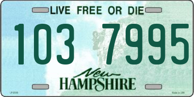 NH license plate 1037995