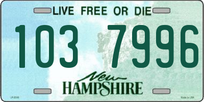 NH license plate 1037996