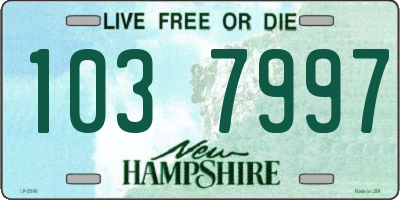 NH license plate 1037997