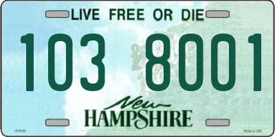 NH license plate 1038001