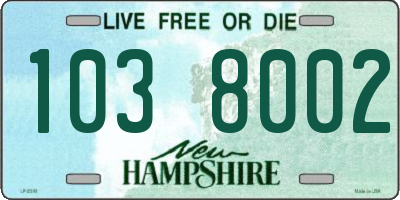 NH license plate 1038002