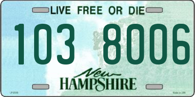 NH license plate 1038006