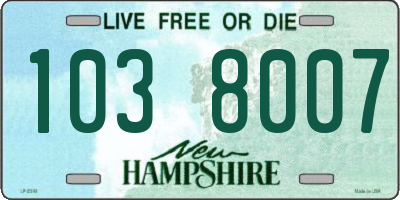 NH license plate 1038007