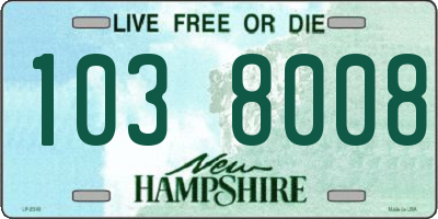 NH license plate 1038008