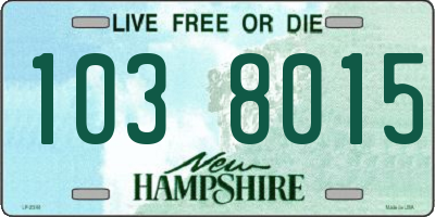 NH license plate 1038015
