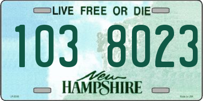 NH license plate 1038023