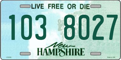 NH license plate 1038027