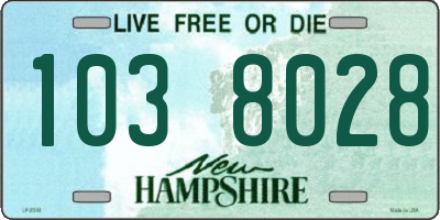 NH license plate 1038028