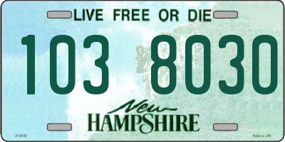 NH license plate 1038030