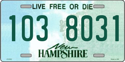 NH license plate 1038031