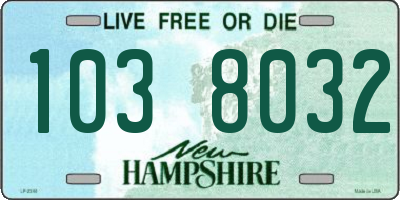 NH license plate 1038032