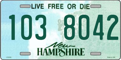 NH license plate 1038042