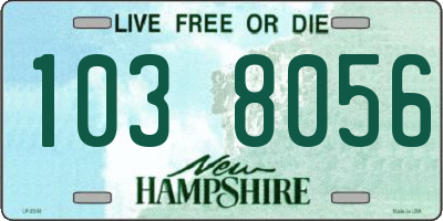 NH license plate 1038056