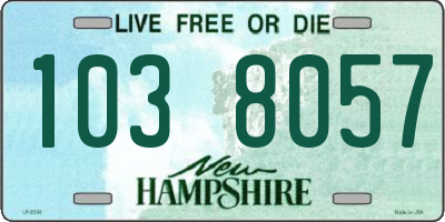 NH license plate 1038057
