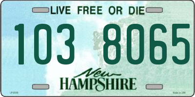NH license plate 1038065