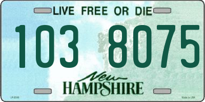 NH license plate 1038075