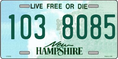 NH license plate 1038085