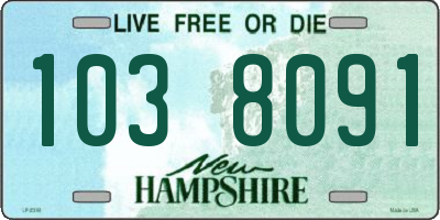 NH license plate 1038091