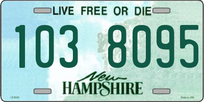 NH license plate 1038095