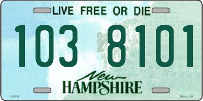 NH license plate 1038101