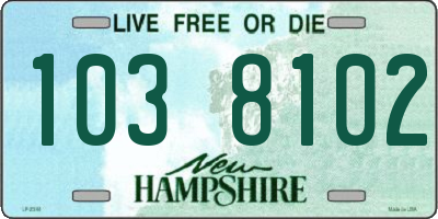 NH license plate 1038102