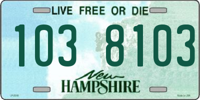 NH license plate 1038103