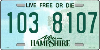 NH license plate 1038107
