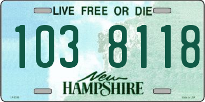 NH license plate 1038118