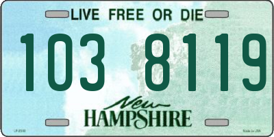 NH license plate 1038119