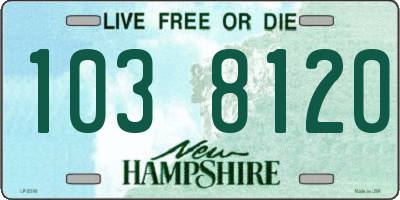 NH license plate 1038120