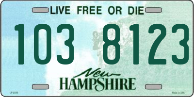 NH license plate 1038123