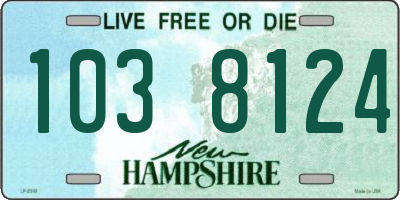 NH license plate 1038124