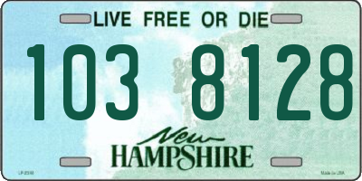 NH license plate 1038128