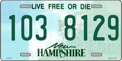 NH license plate 1038129