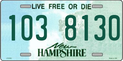 NH license plate 1038130