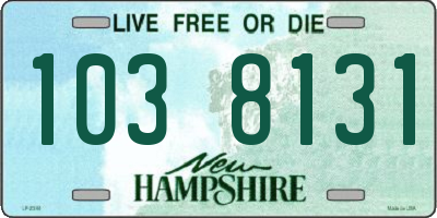 NH license plate 1038131