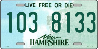NH license plate 1038133