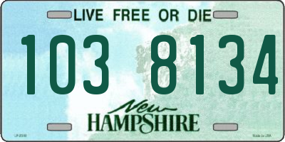 NH license plate 1038134