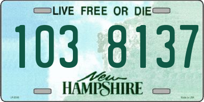 NH license plate 1038137