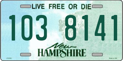 NH license plate 1038141
