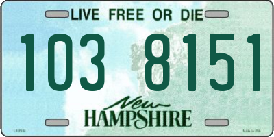 NH license plate 1038151