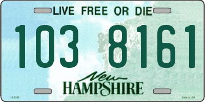 NH license plate 1038161