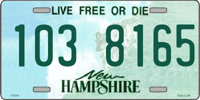 NH license plate 1038165