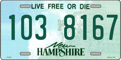 NH license plate 1038167